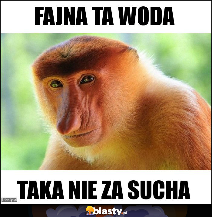 Fajna ta woda