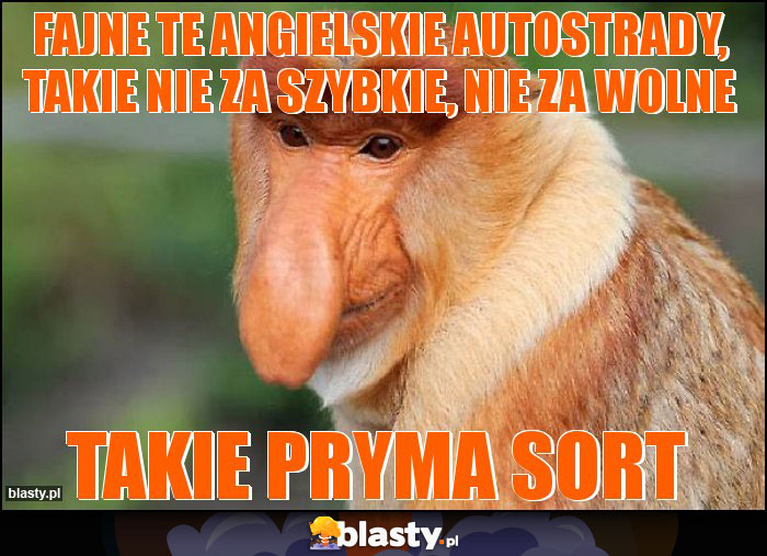 fajne te angielskie autostrady, takie nie za szybkie, nie za wolne