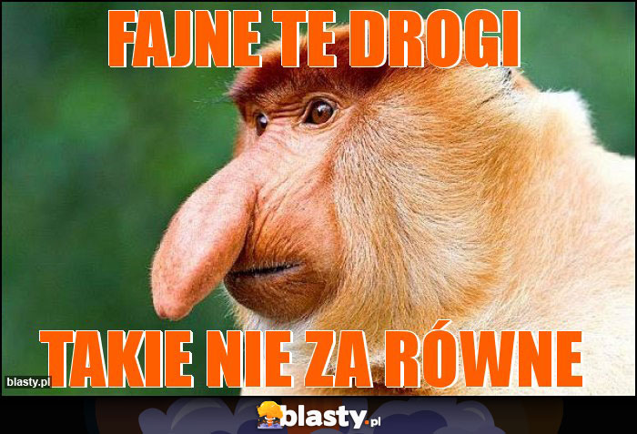 Fajne te drogi