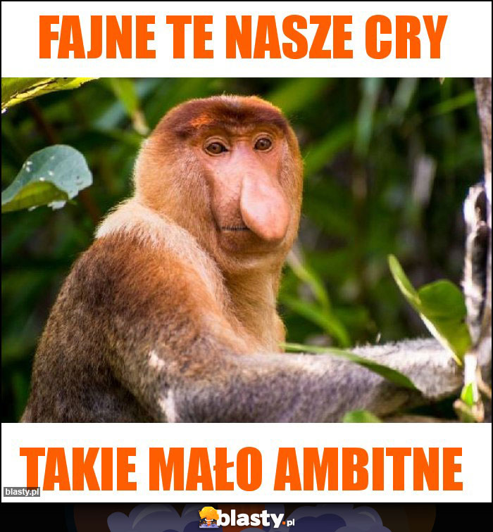 Fajne te nasze CRy