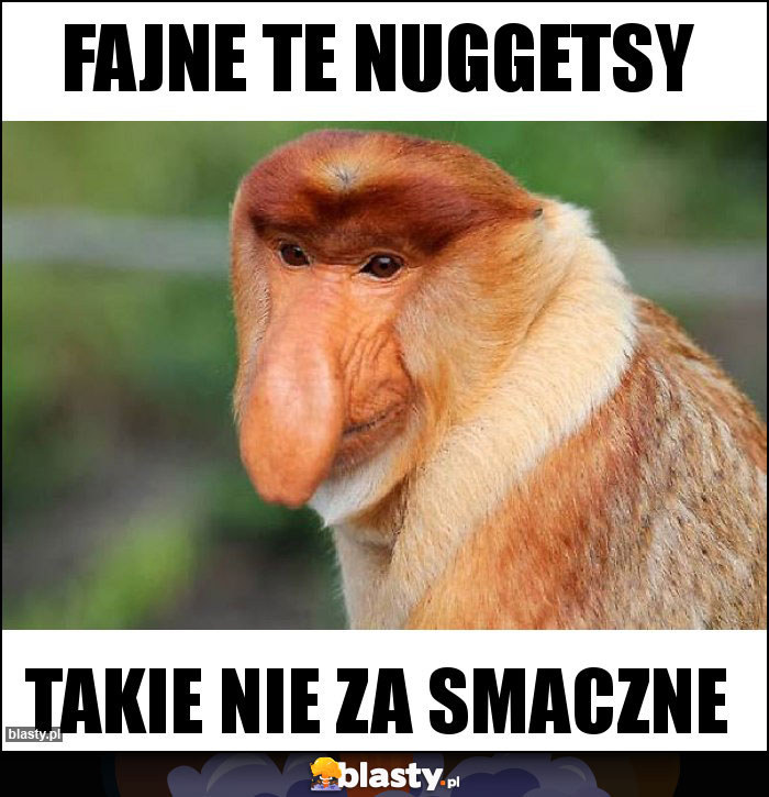 Fajne te nuggetsy