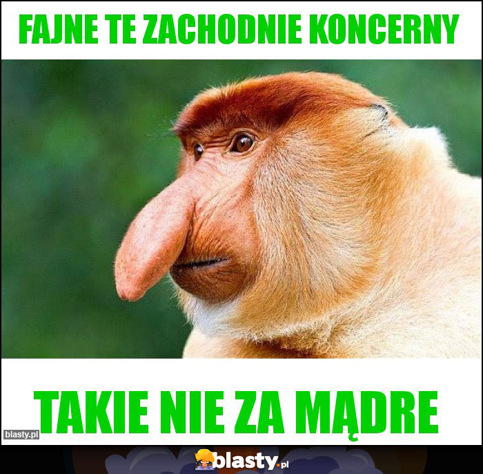 Fajne te zachodnie koncerny