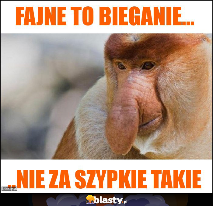 Fajne to bieganie...