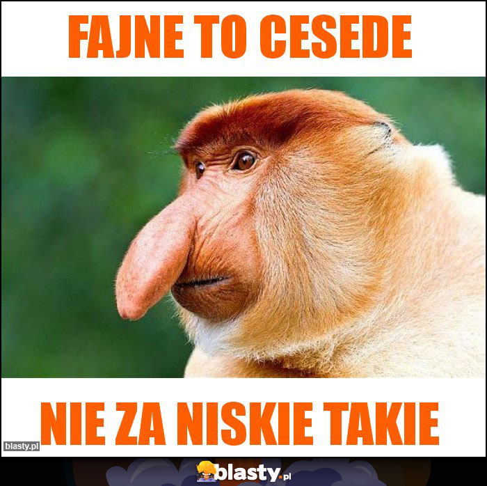 Fajne to CESEDE