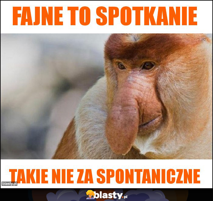 FAJNE TO SPOTKANIE