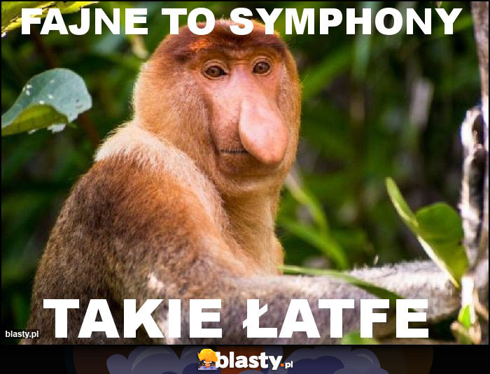 fajne to symphony