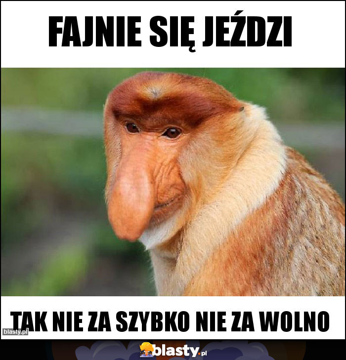 Fajnie się jeździ