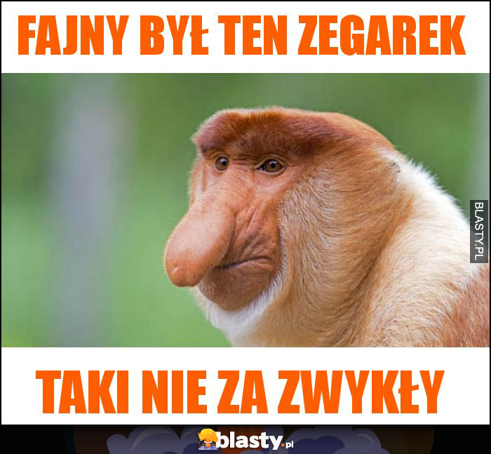 FAJNY BYŁ TEN ZEGAREK