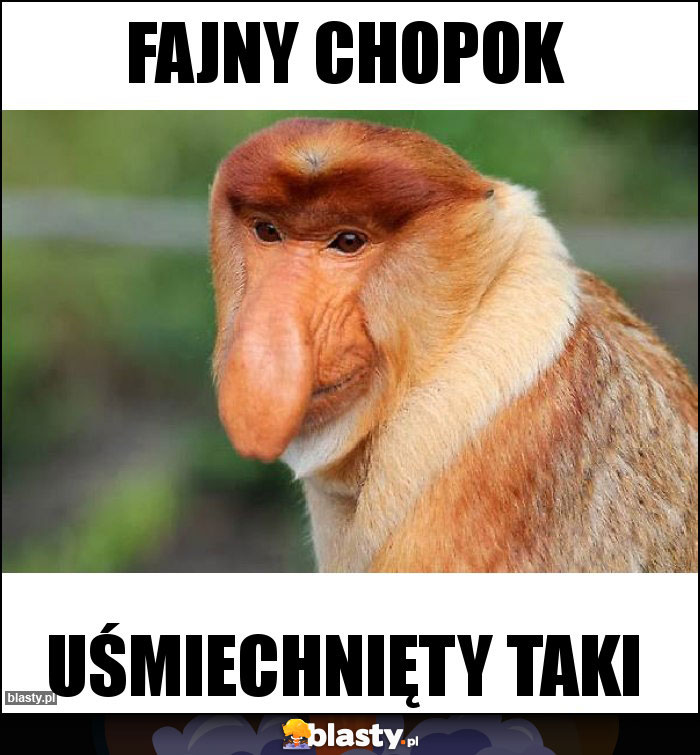 Fajny chopok