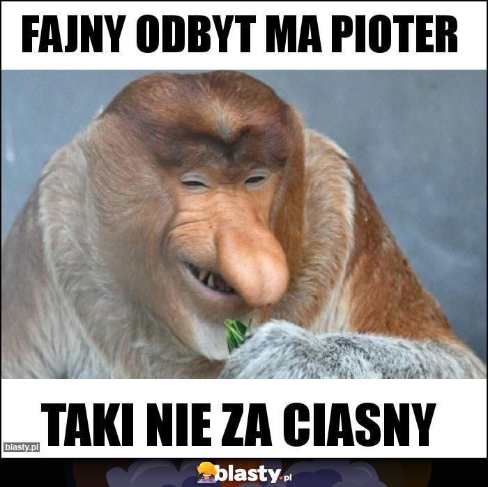 Fajny odbyt ma pioter