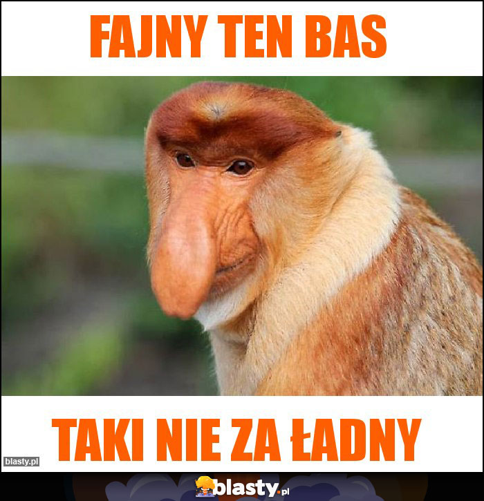 Fajny ten bas