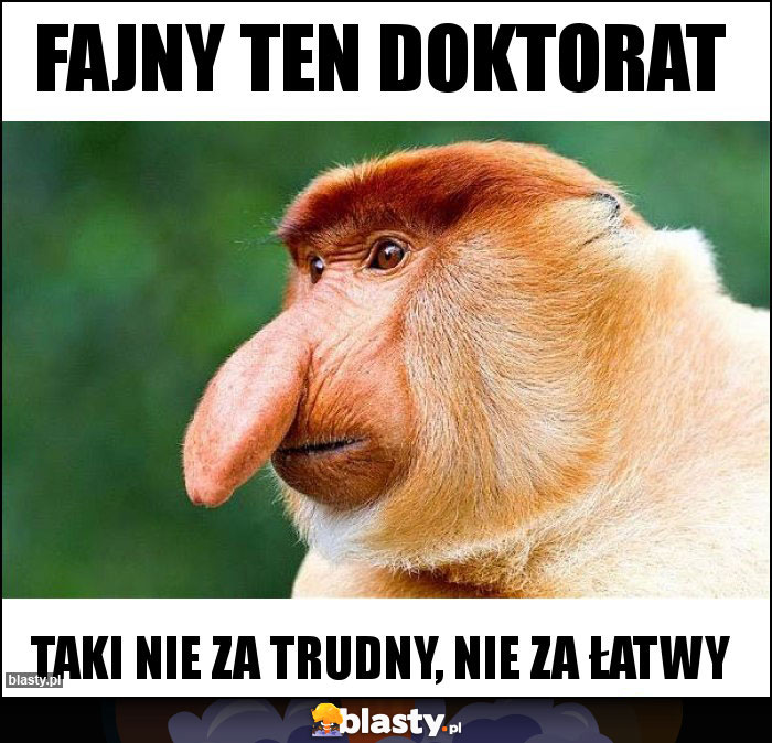 Fajny ten doktorat