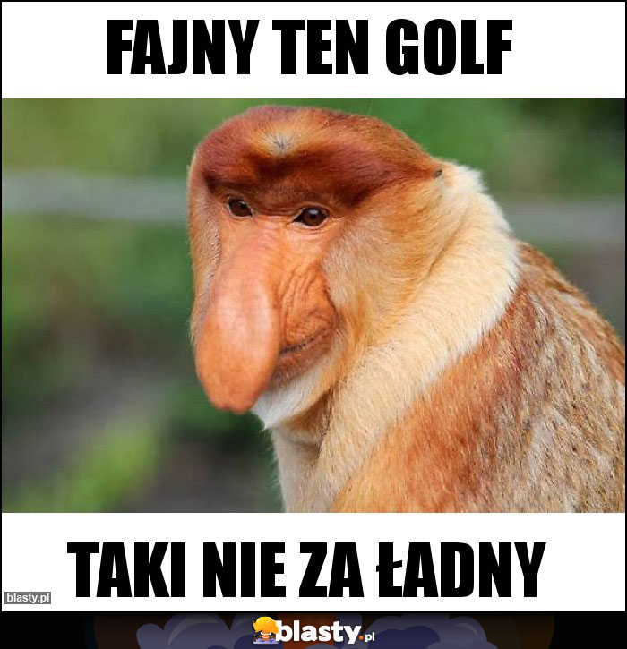 Fajny ten golf