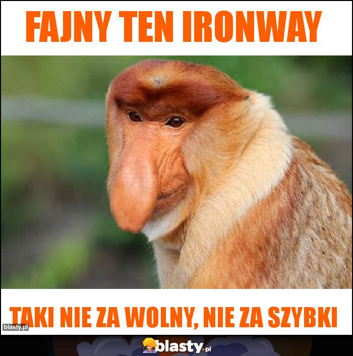 Fajny ten IRONWAY