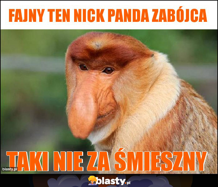 Fajny ten nick Panda Zabójca