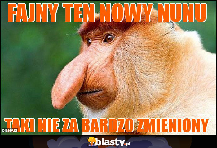 Fajny ten nowy nunu