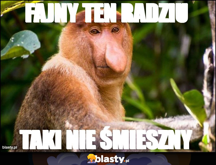 Fajny ten radziu