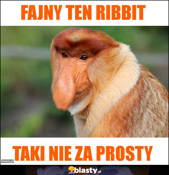 fajny ten ribbit