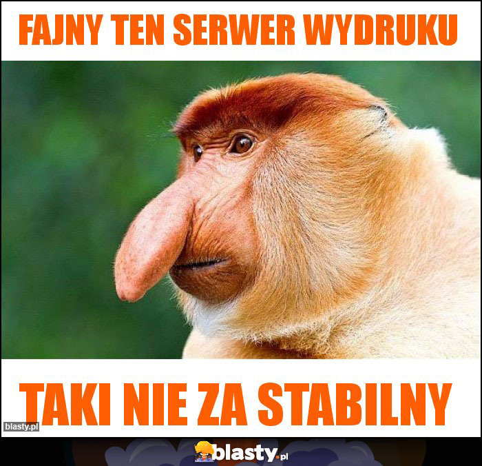 fajny ten serwer wydruku