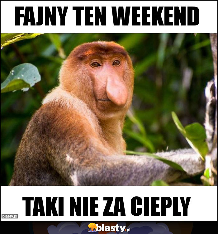 Fajny ten weekend