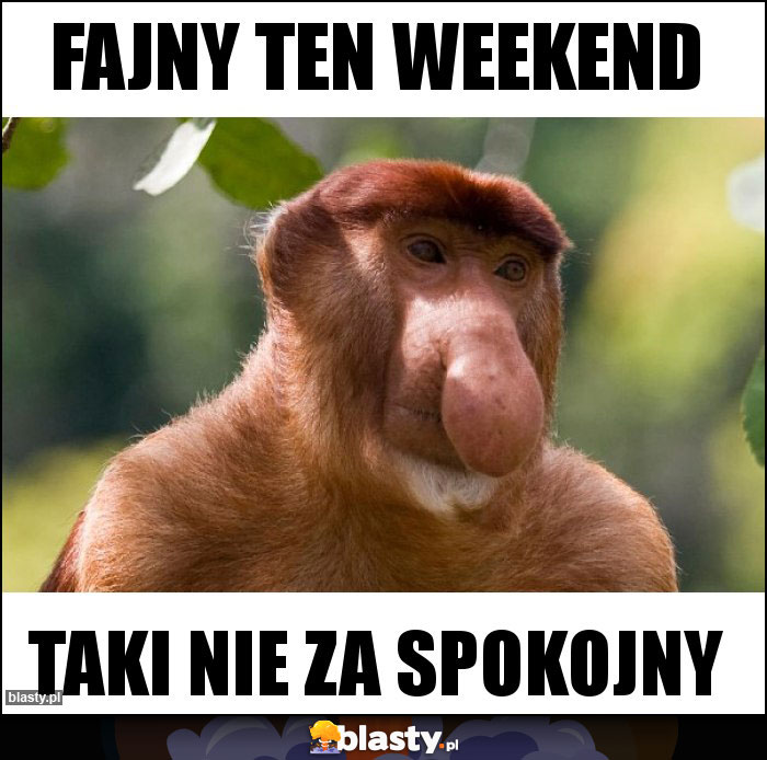 Fajny ten weekend