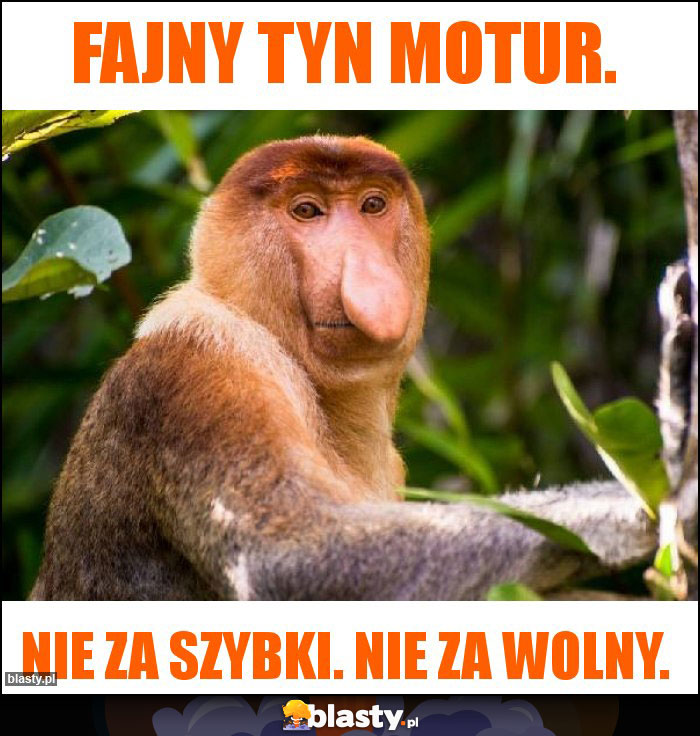 Fajny tyn motur.