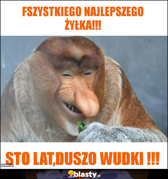 fszystkiego najlepszego żyłka!!!