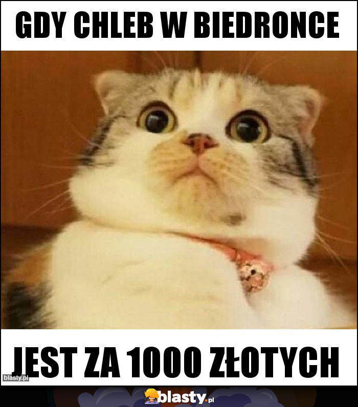 Gdy Chleb W Biedronce