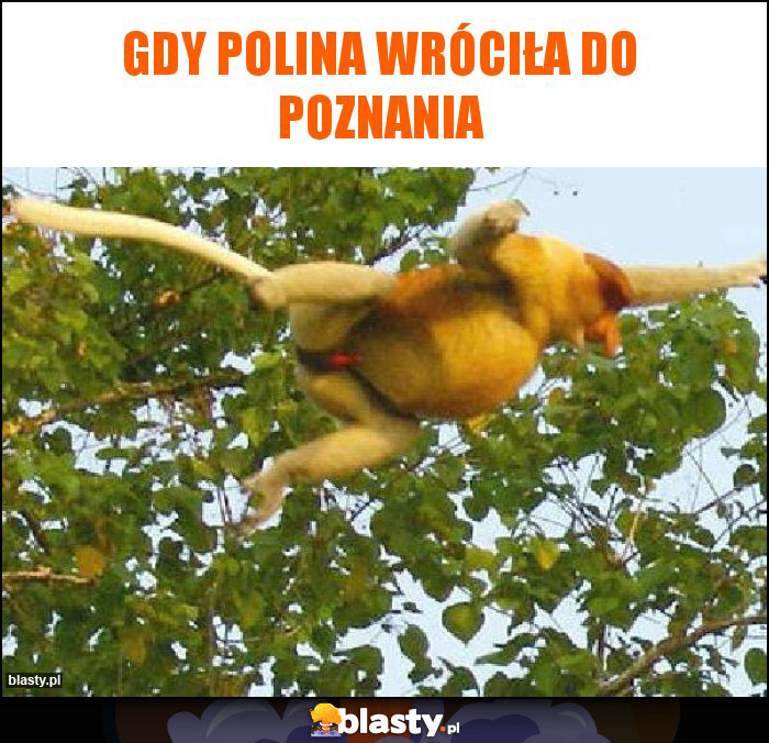 Gdy Polina wróciła do Poznania