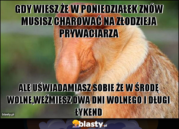 gdy wiesz że w poniedziałek znów musisz charować na złodzieja prywaciarza