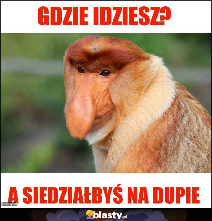 Gdzie idziesz?