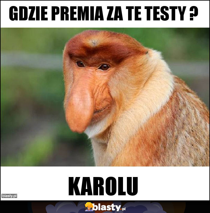 GDZIE PREMIA ZA TE TESTY ?