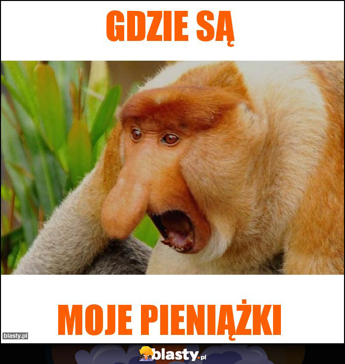 Gdzie są