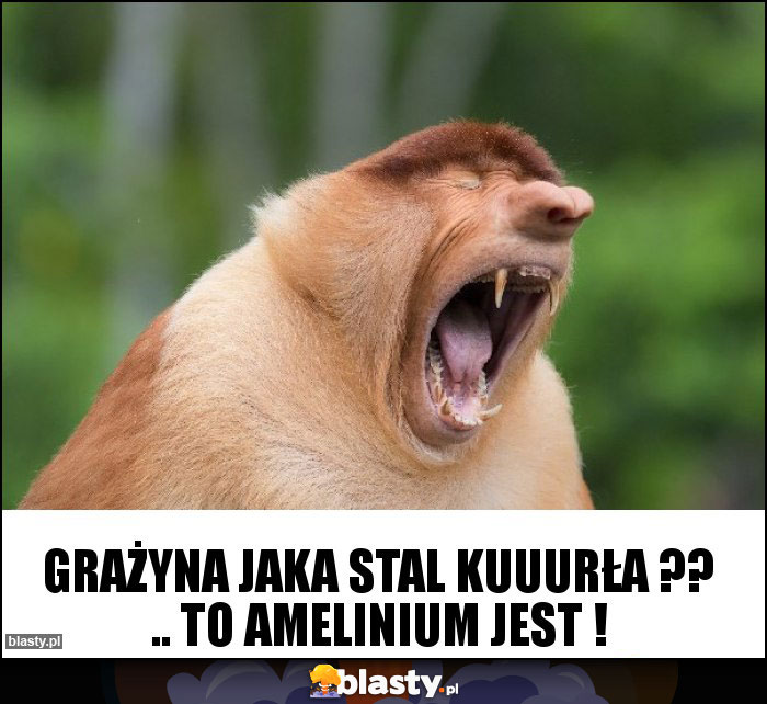 Grażyna jaka stal Kuuurła ?? .. to amelinium jest !