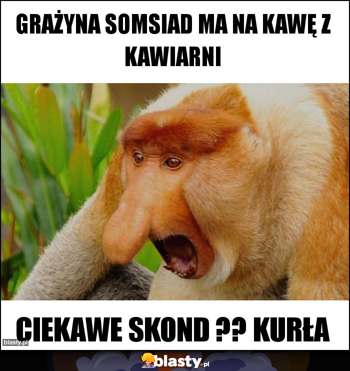 Grażyna somsiad ma na kawę z kawiarni