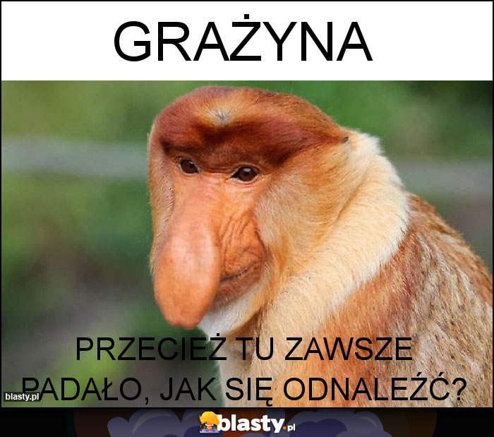 Grażyna