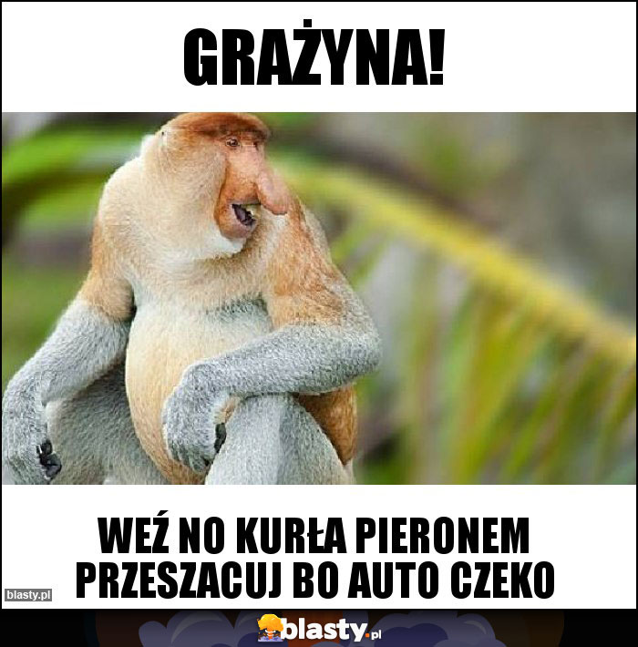 Grażyna!