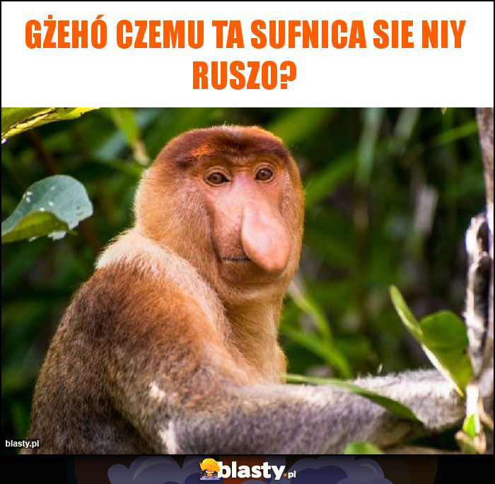 Gżehó czemu ta sufnica sie niy ruszo?