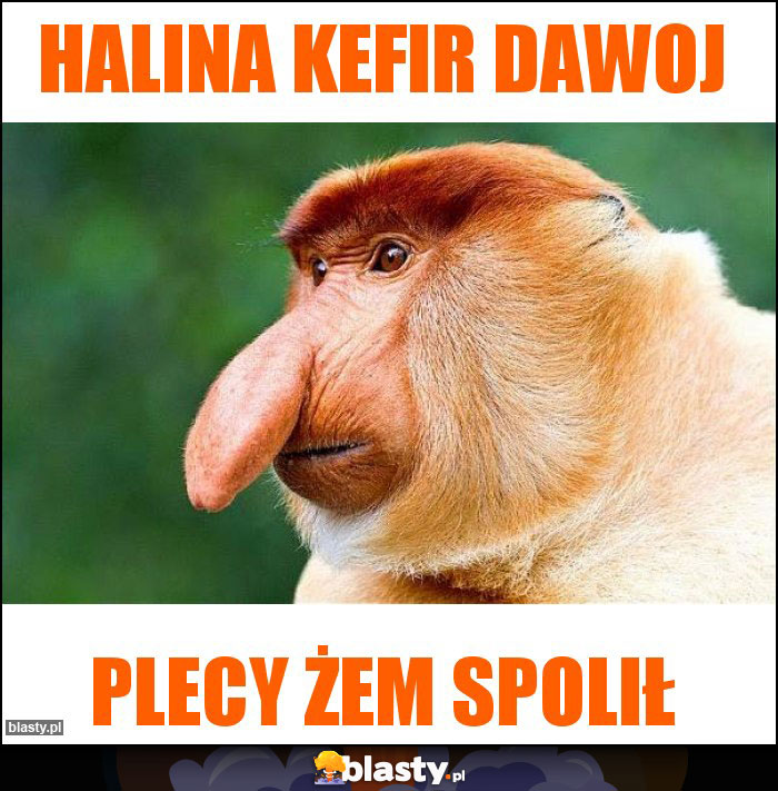 Halina kefir dawoj