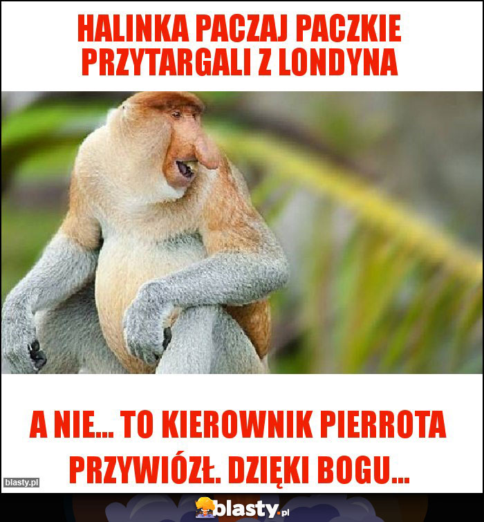 Halinka paczaj PACZKIE PRZYTARGALI Z LONDYNA