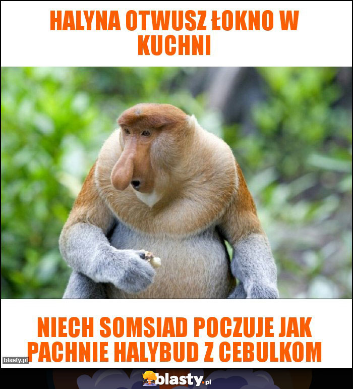 Halyna otwusz łokno w kuchni