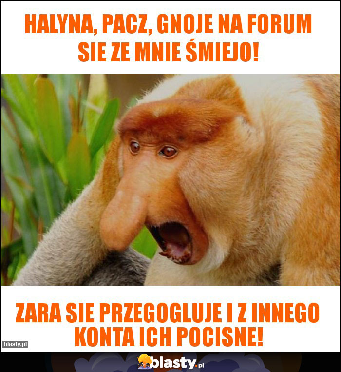 Halyna, pacz, gnoje na forum sie ze mnie śmiejo!