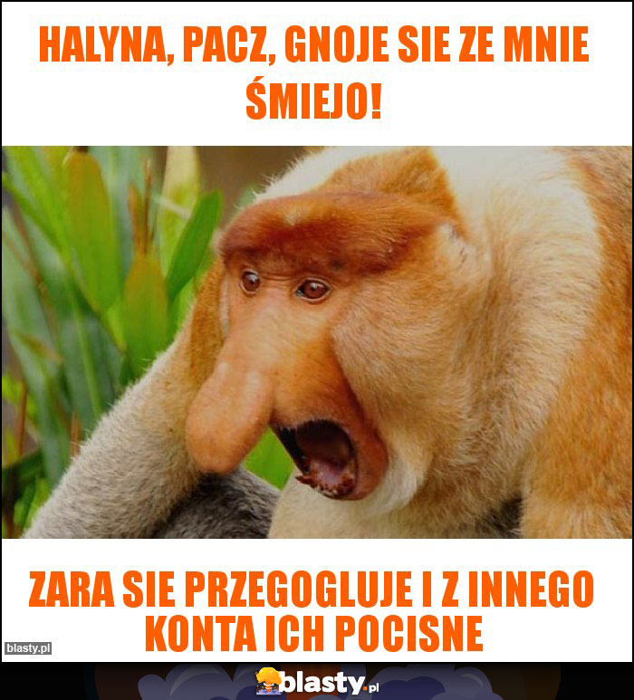 Halyna, pacz, gnoje sie ze mnie śmiejo!