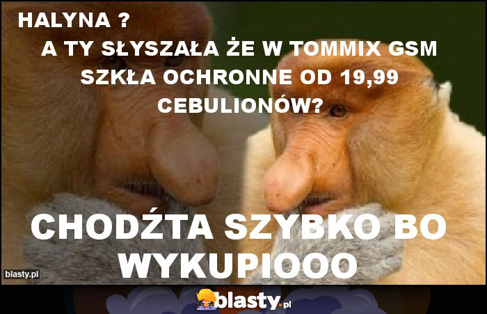 Halyna ?                                                 A ty słyszała że w Tommix GSM szkła ochronne od 19,99 cebulionów?