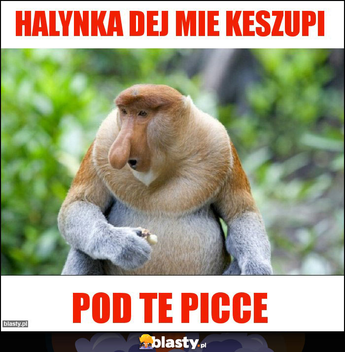 HALYNKA dej mie keszupi