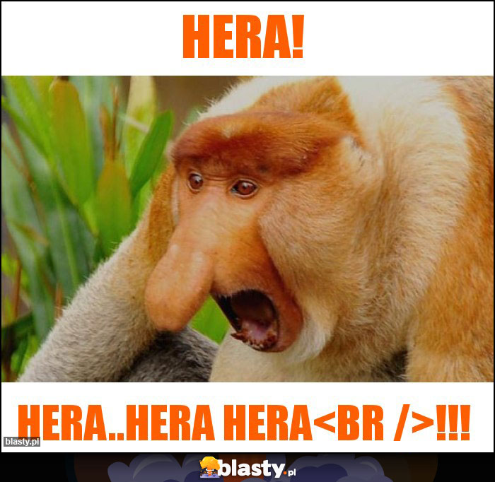 Hera!