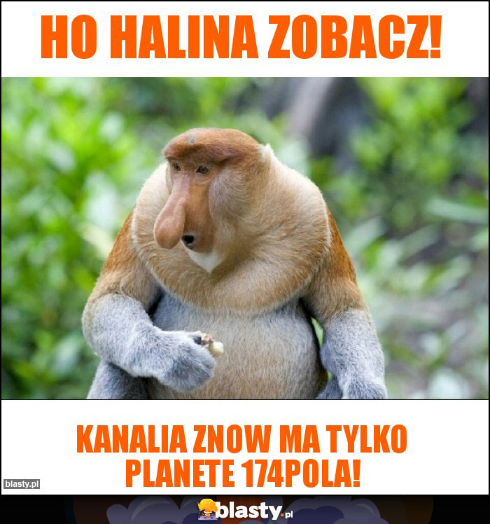 HO HALINA ZOBACZ!