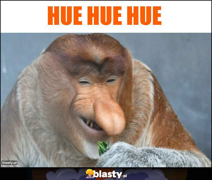 hue hue hue