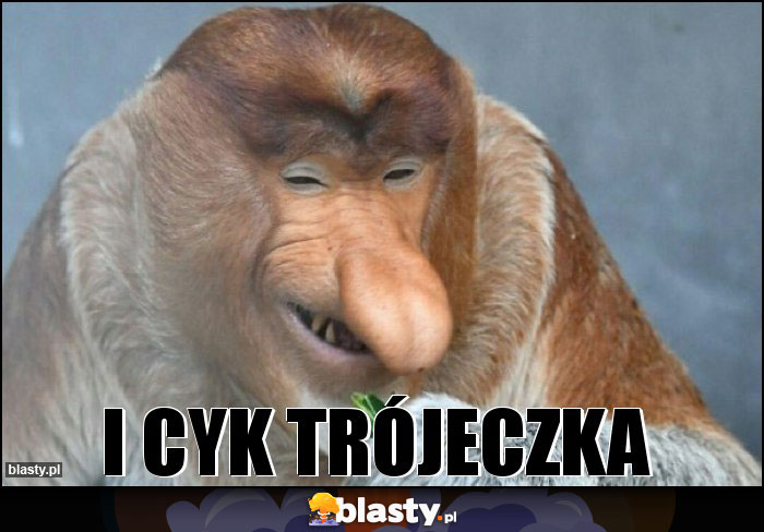 i cyk trójeczka