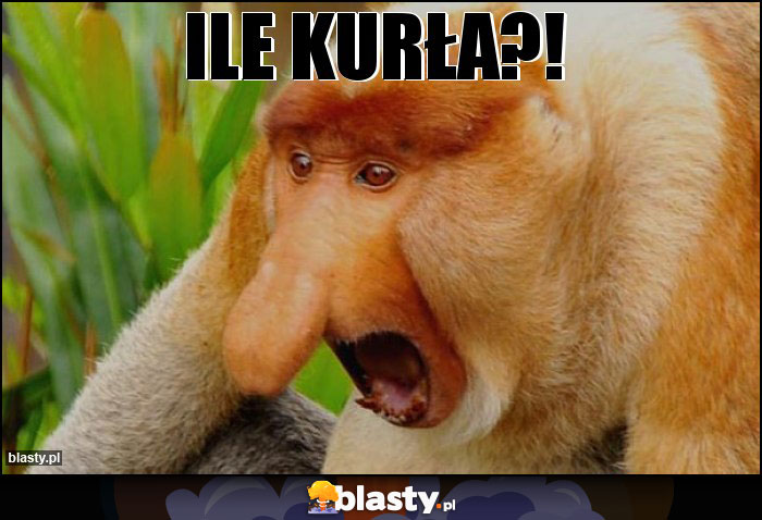 Ile kurła?!